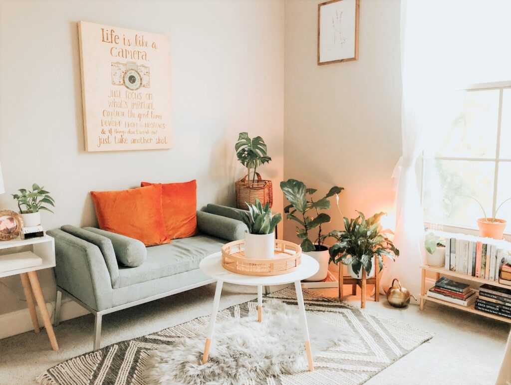 自慢の特等席に♪1人掛けソファと大きな観葉植物の組み合わせ方