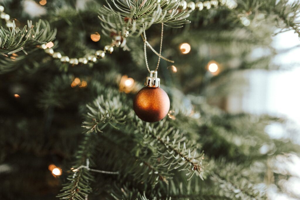 ホームデコレーション クリスマスツリー代わりになる観葉植物