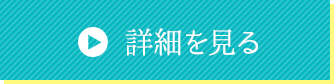 詳細を見る→