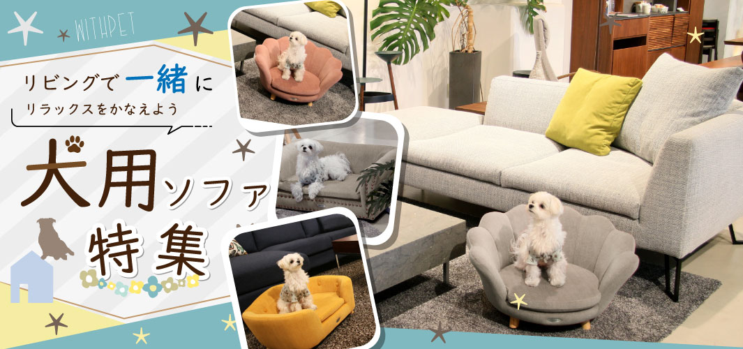 リビングで一緒にリラックスを叶えよう 犬用ソファ特集