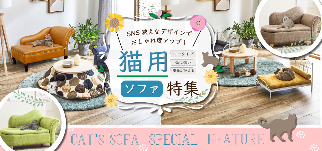 SNS映えなデザインでおしゃれ度アップ 猫用ソファ特集