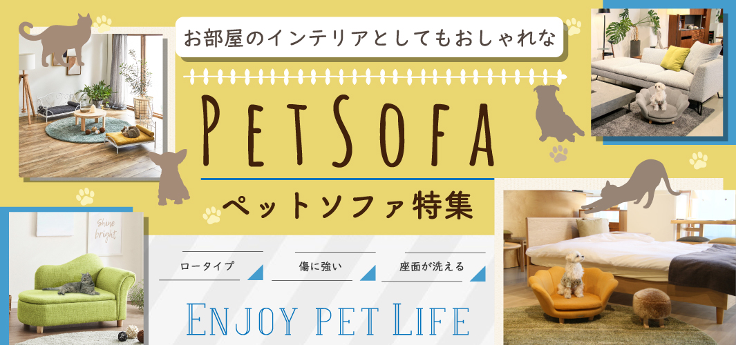 お部屋のインテリアとしてもおしゃれなペットソファ特集